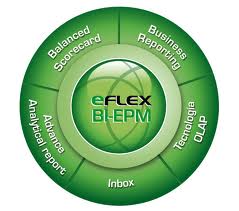 eFlex BI software Business Intelligence / CPM