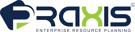 Praxis ERP software  Software ERP 