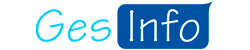 Gesinfo ERP software Software ERP
