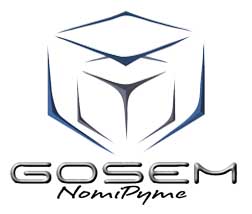 Gosem Nomi Pyme, software  RH Recursos Humanos HRM 