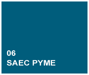 SAEC PYME software  Software ERP 