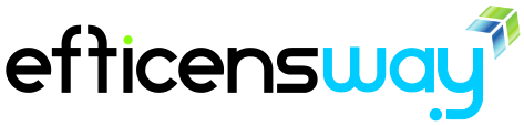 ERP Efficensway software Software ERP