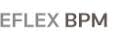 eFlex BMP software Business Intelligence / CPM
