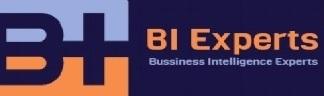 BI EXPERTS